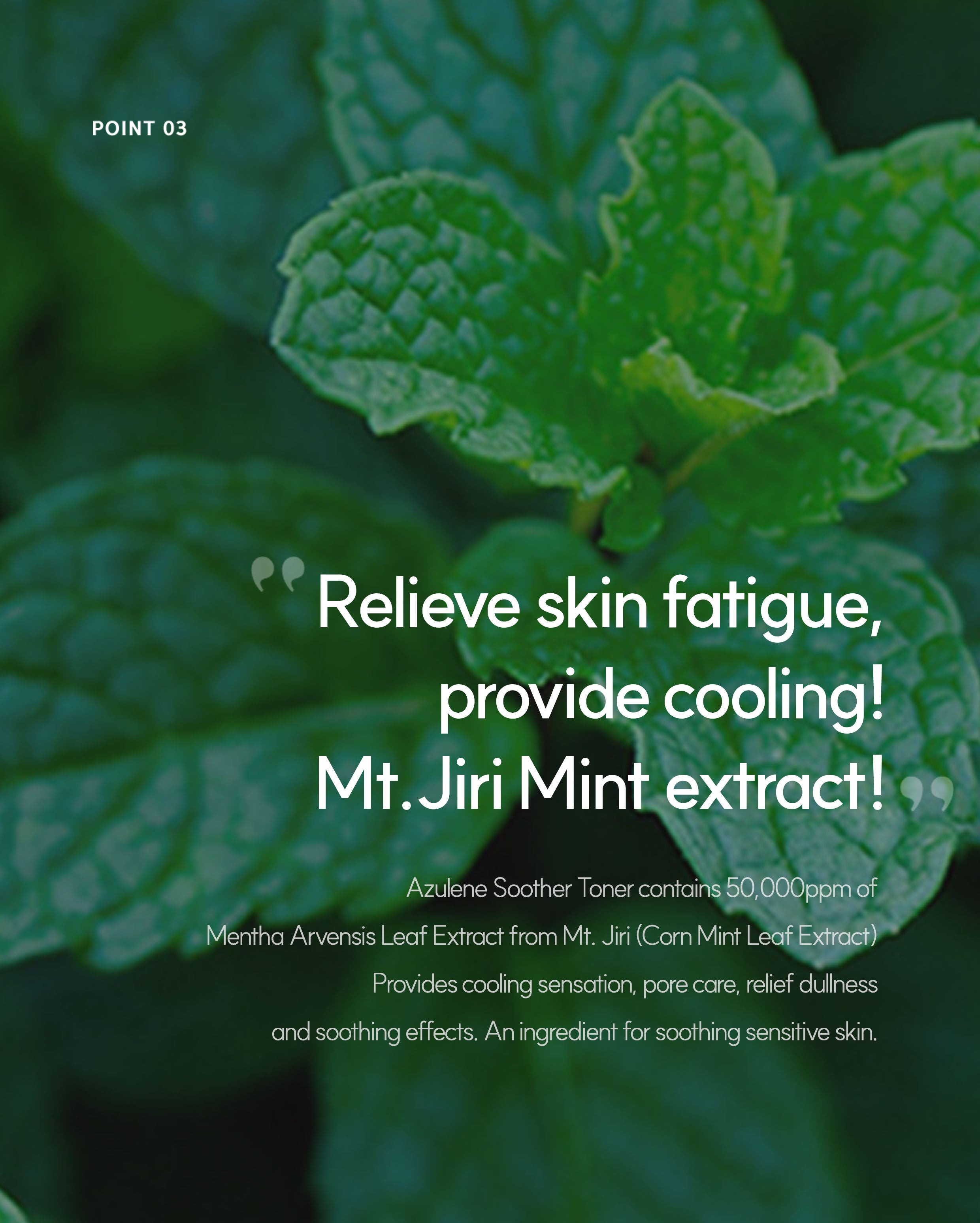 Dr. Sante Azulene Soother Toner (500ml)