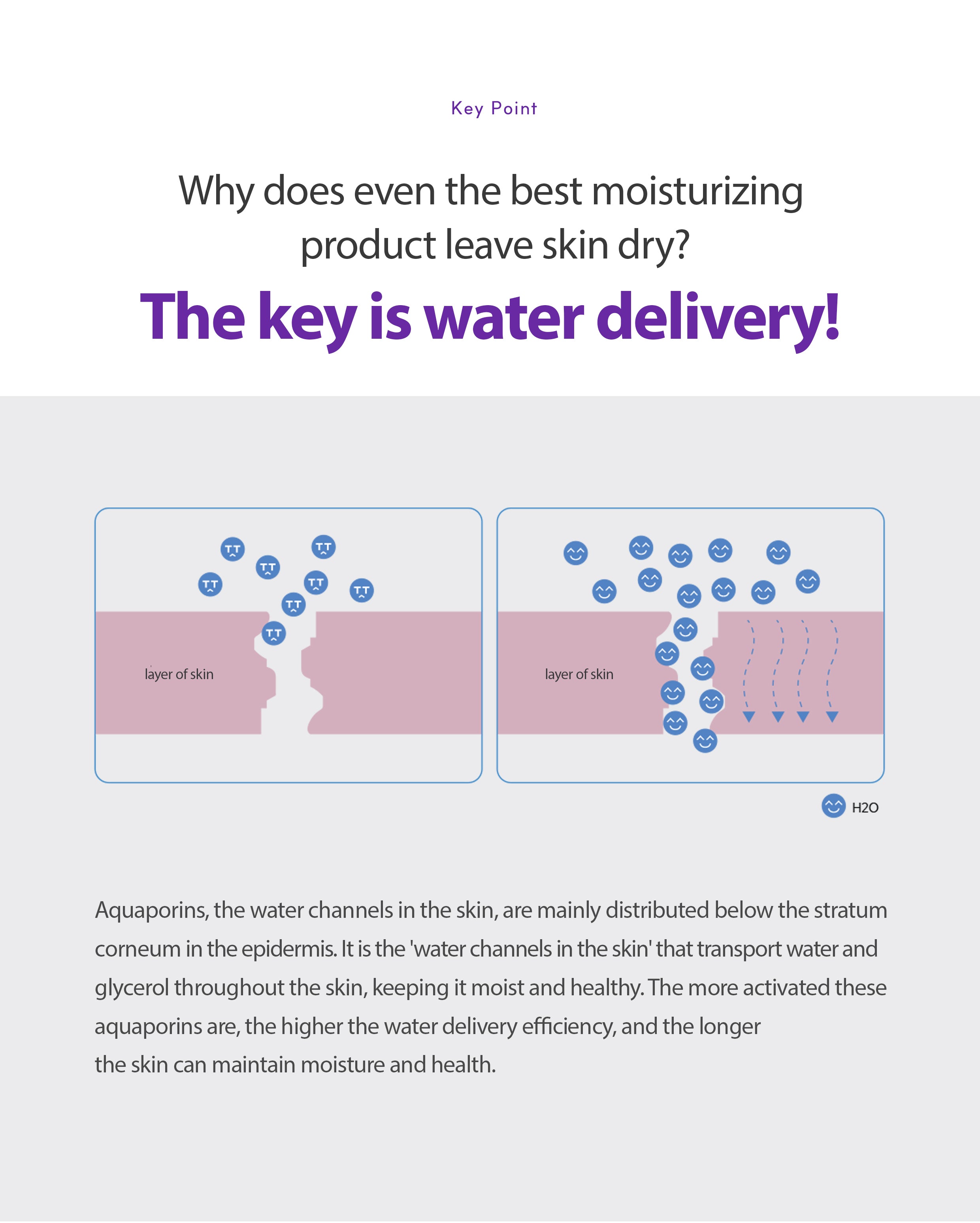 Dr. Sante Azulene Soother Ampoule