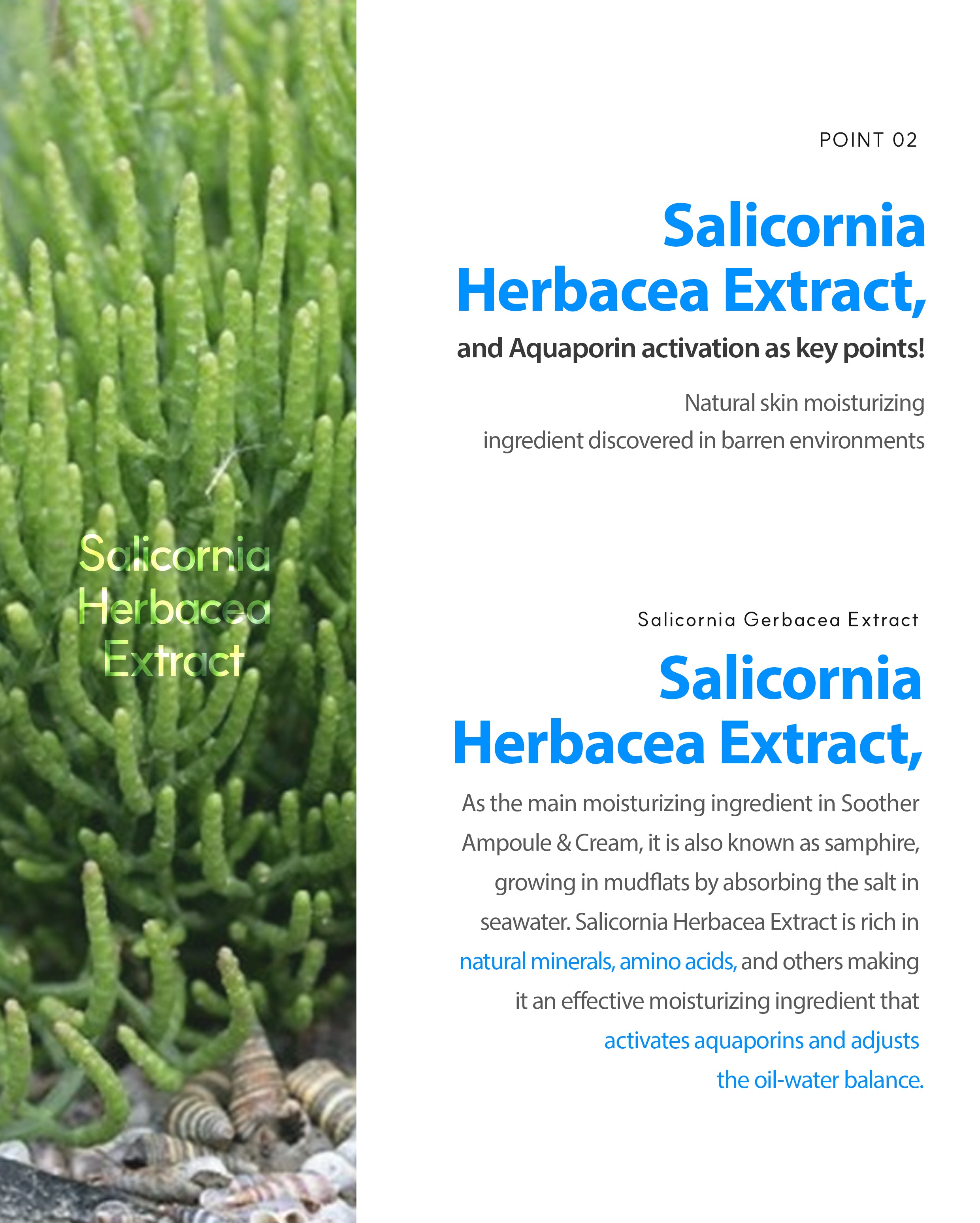 Dr. Sante Azulene Soother Cream