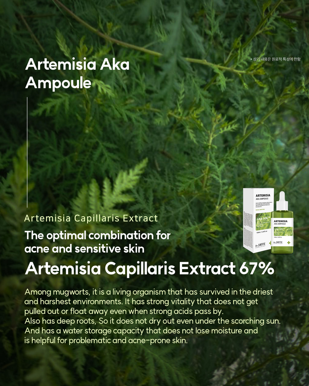 Dr. Sante Artemisia AKA Ampoule 50ml