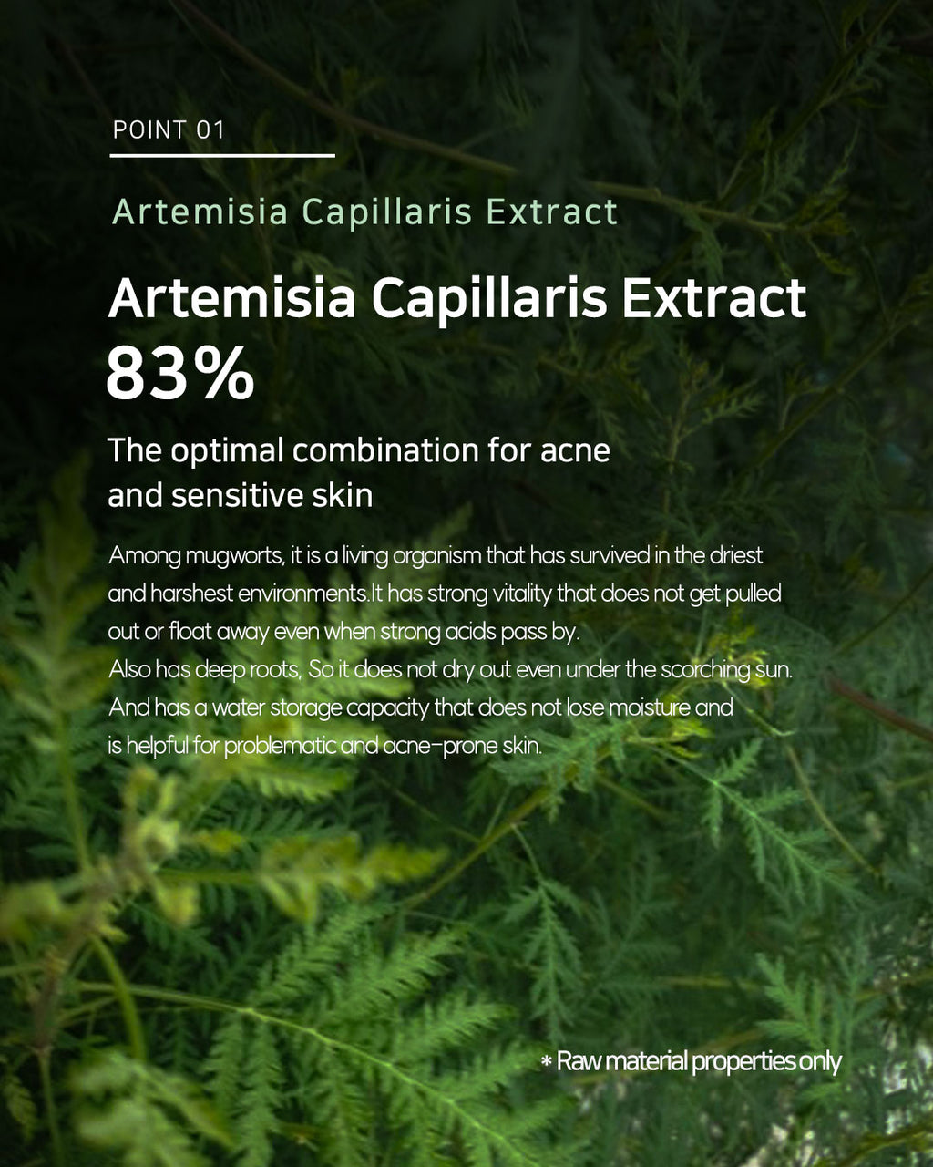 Dr. Sante Artemisia AKA Toner