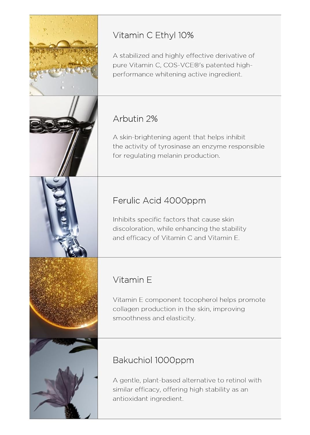 FINDIVE Vitamin C Ethyl 10% Serum Treatment