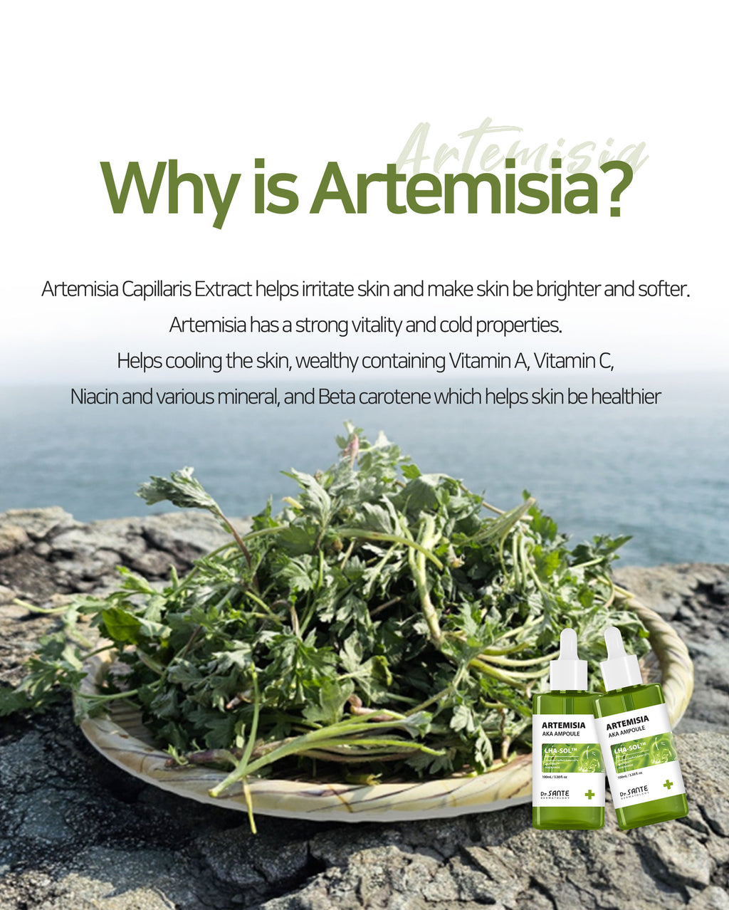 Dr. Sante Artemisia AKA Ampoule 50ml