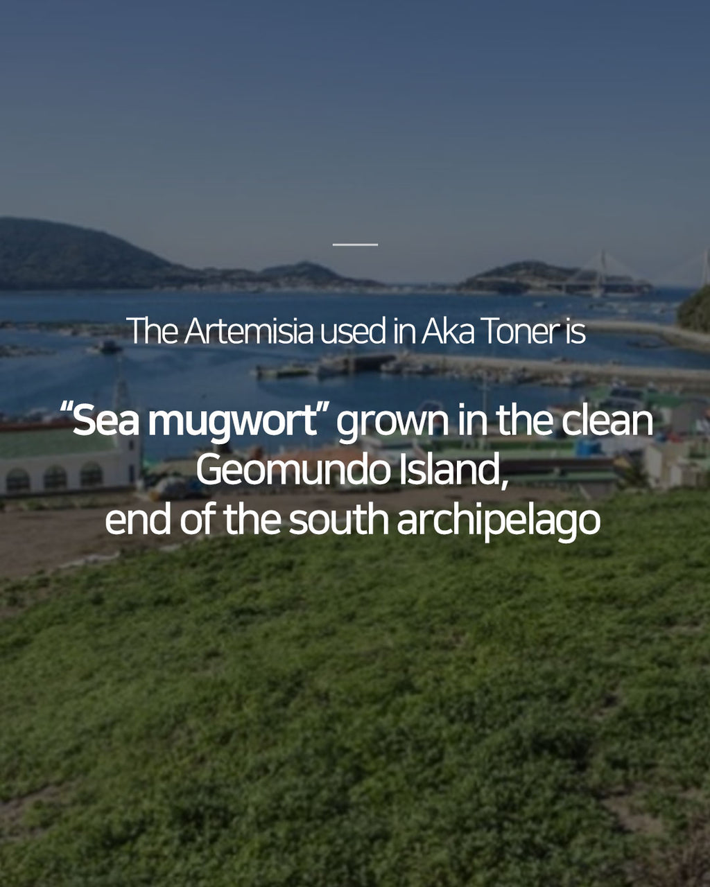 Dr. Sante Artemisia AKA Toner