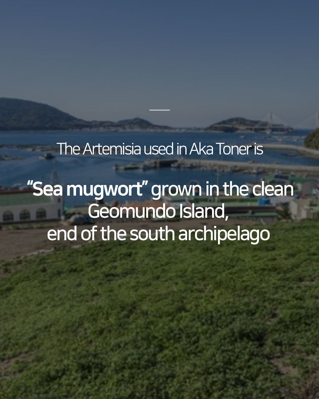 Dr. Sante Artemisia AKA Toner