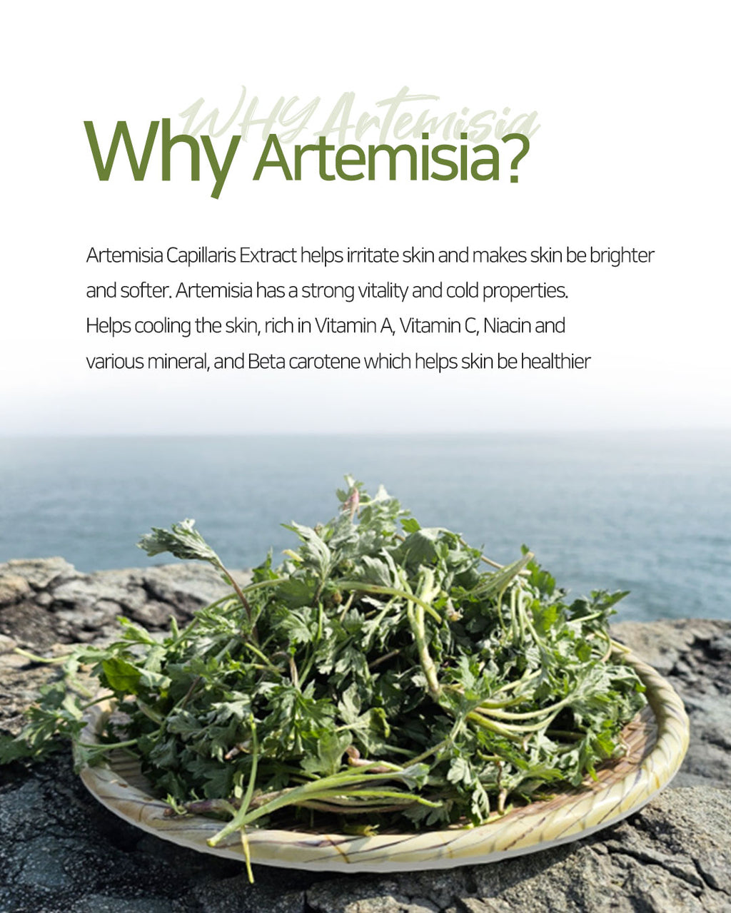 Dr. Sante Artemisia AKA Toner