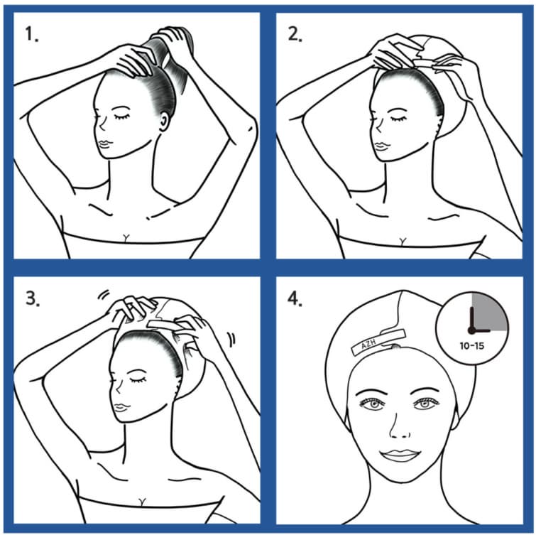 AZH All-In-One Nutriment Steam Hair Pack BOX (5ea)