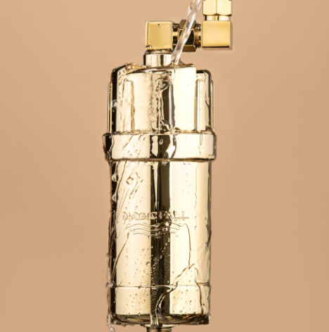 Firay Water Shower Unit Filter (gold)