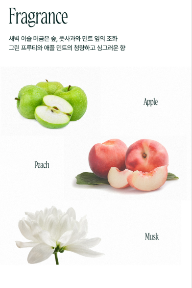 AZH Scalp & Shampoo (500ml)