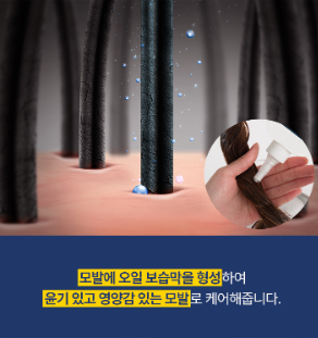 AZH Daily Luster Hair Oil (300ml)