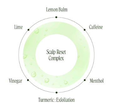 AZH Daily Fresh Hair Spa (300ml)